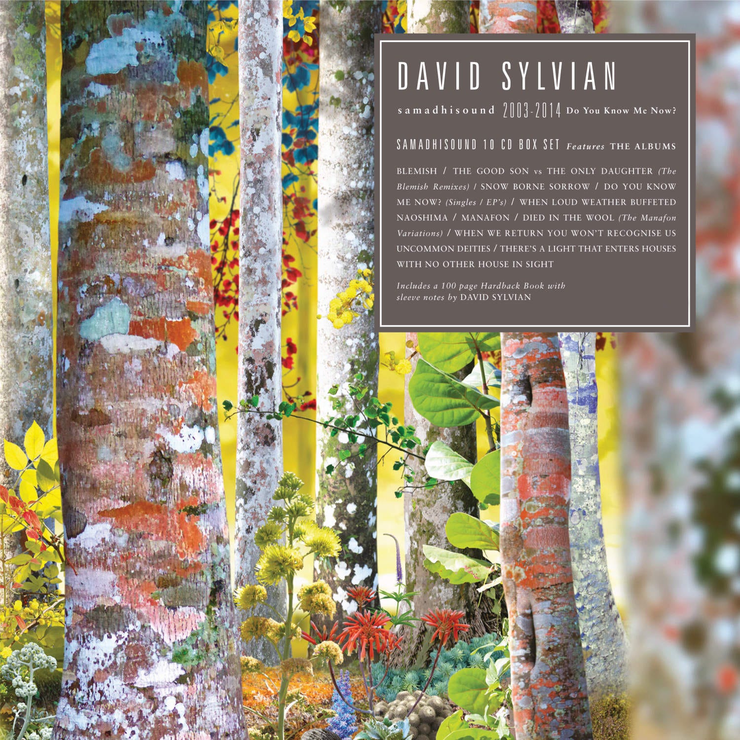 Exploring David Sylvian