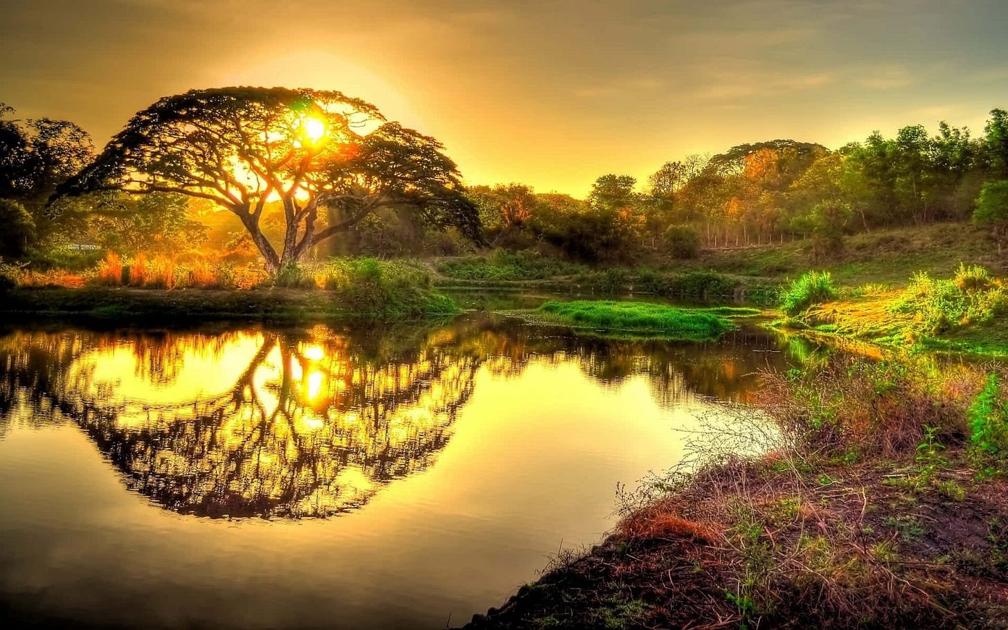 100+] Sun Rise Pictures | Wallpapers.com