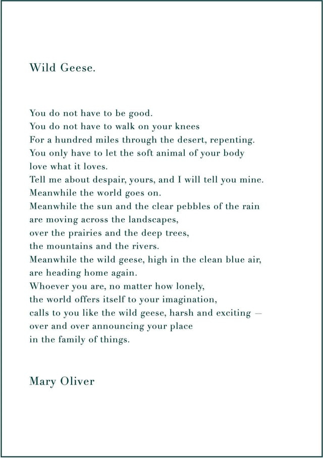r/infp - Wild Geese, By Mary Oliver