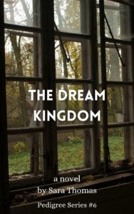 window book cover