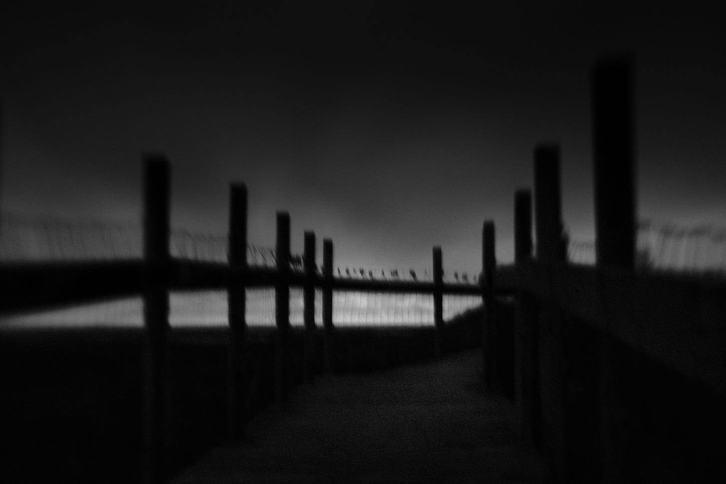 boardwalk
