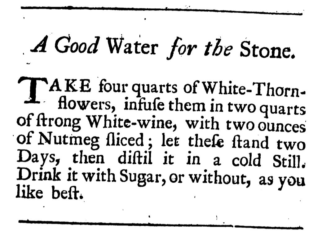 A Good Water for the Stone Take four quarts of white thorn flowers, infuse them in two quarts of string white wine with two ounces of Nutmeg sliced; let these stand two days, then distil it in a cold still. Drink it with Sugar, or without, as you like best. 