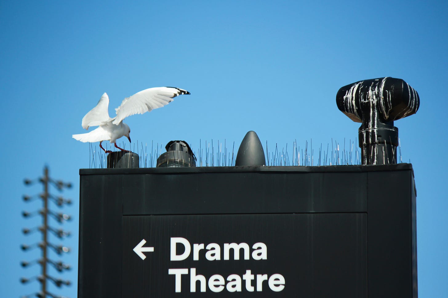 A metaphor for trying to write a play with an LLM?