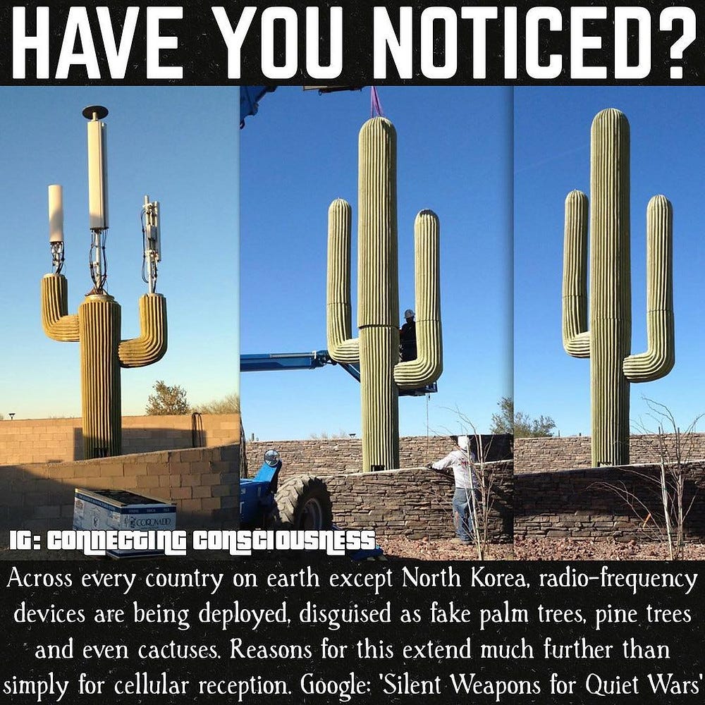 Gwen Towers "Ground Wave Emergency Network" Or in Other words ... Gwen Towers "Ground Wave Emergency Network" Or in Other words ...