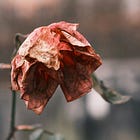 It Wasn't Anger, It Was Grief