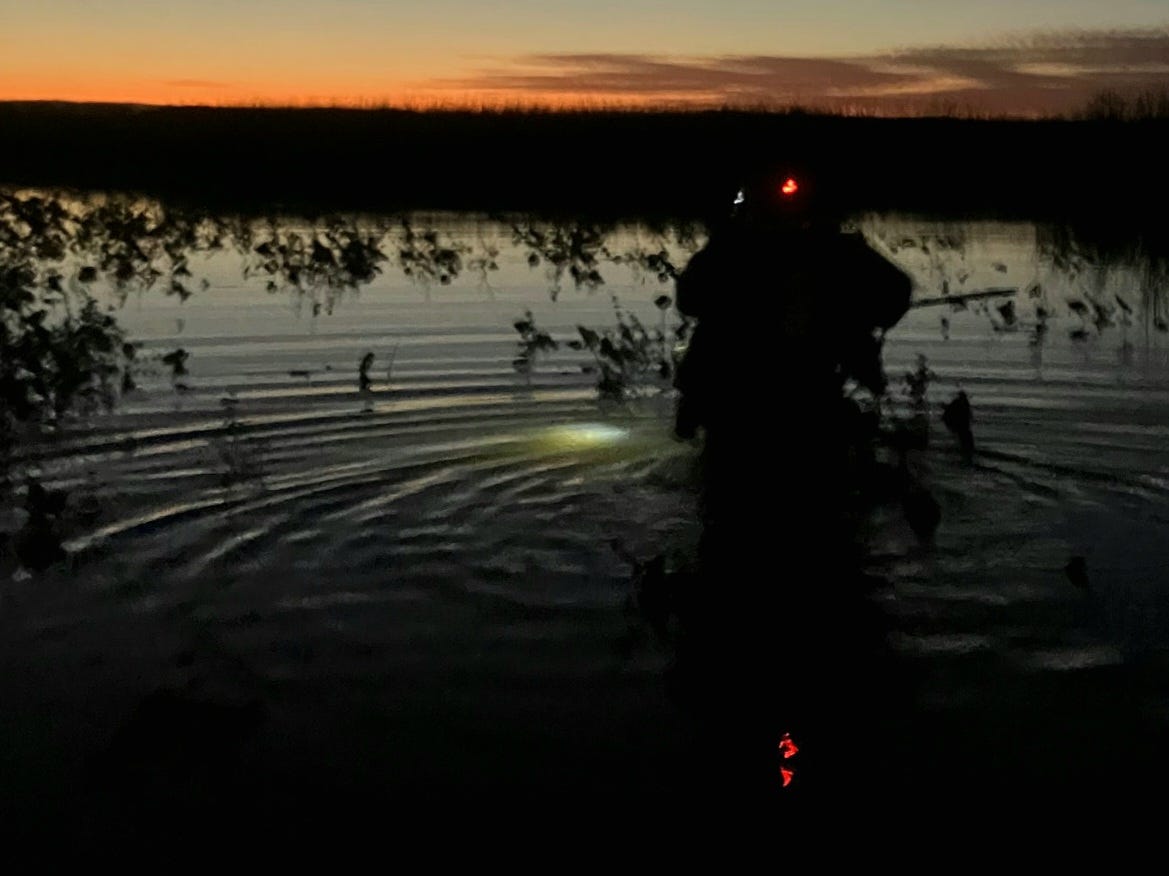 I walk out of the marsh in growing darkness