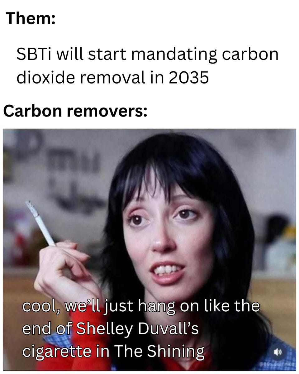 "Them: SBTi will start mandating carbon dioxide removal in 2035. Carbon removers:" above Shelley Duvall holding a cigarette, captioned "cool, we'll just hang on like the end of Shelley Duvall's cigarette in The Shining."