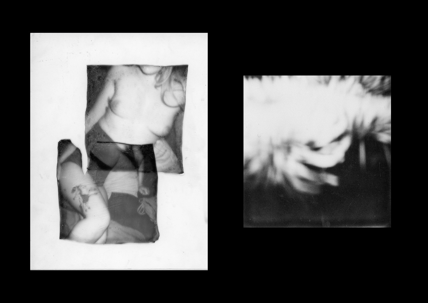 Limerence. Photos by Mabel Ranselli.