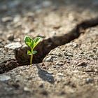 How I Learned My Child’s Struggles Were Actually Signs of Growth