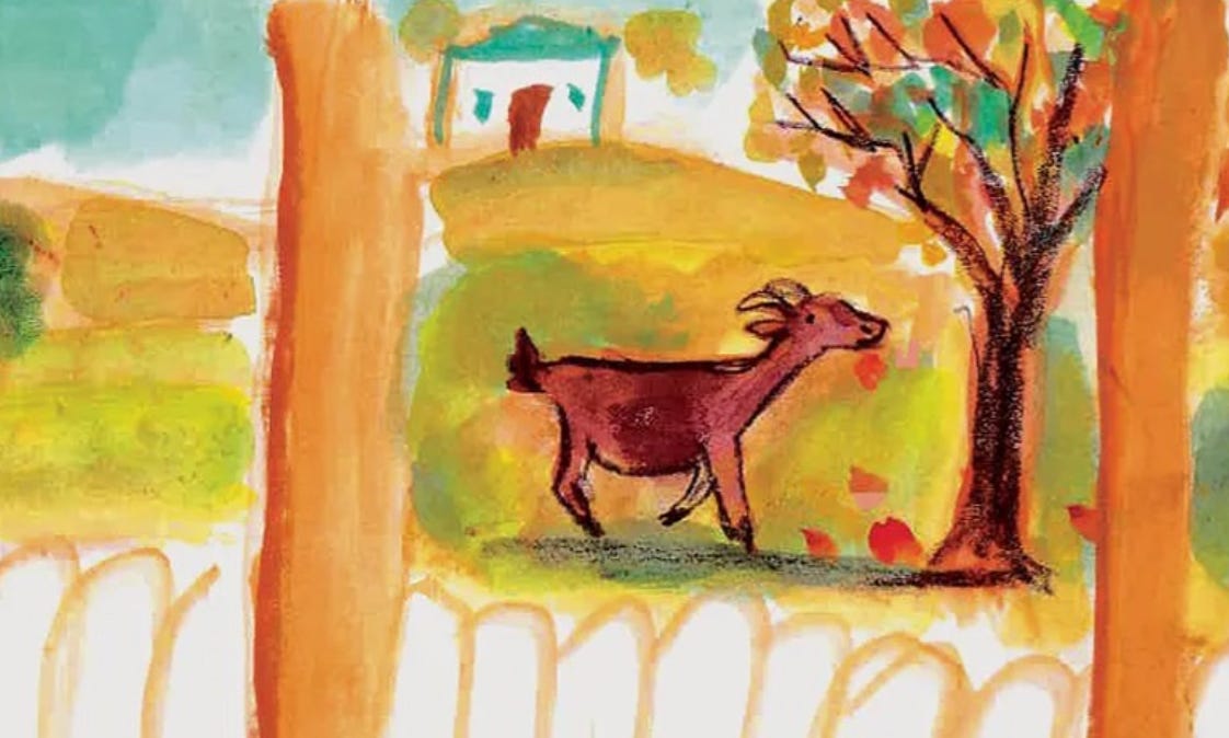 goat illustration by Beth Spencer