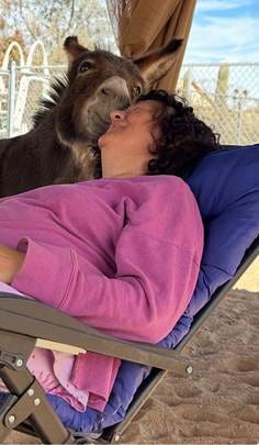 A person lying in a chair with a donkey

AI-generated content may be incorrect.