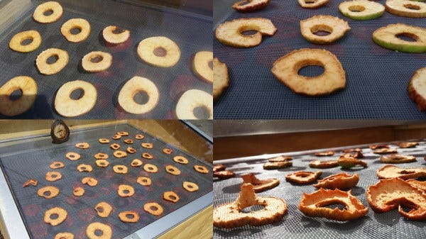 drying apple collage