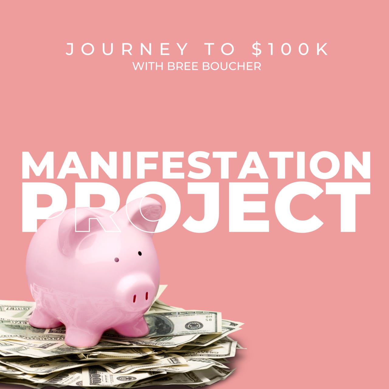 The Manifestation Project: Journey to $100k