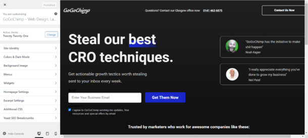 Wordpress CMS customize