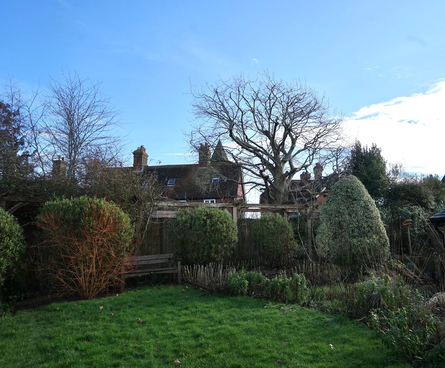 Winter garden with a green lawn, clipped shrubs, bare trees, and a wooden bench, with brick houses and chimneys visible beyond under a blue sky.