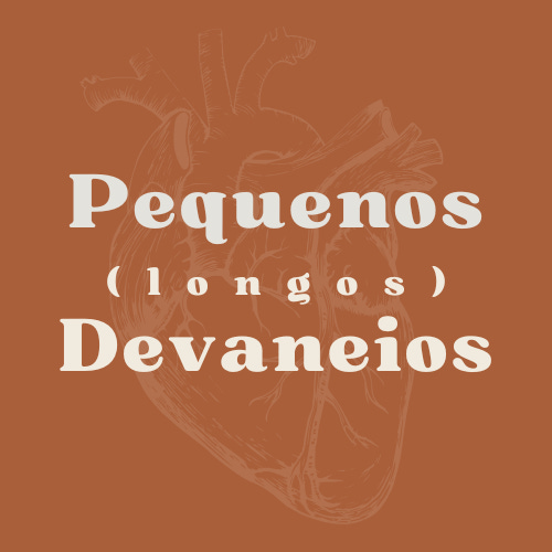 pequenos (l o n g o s) devaneios 