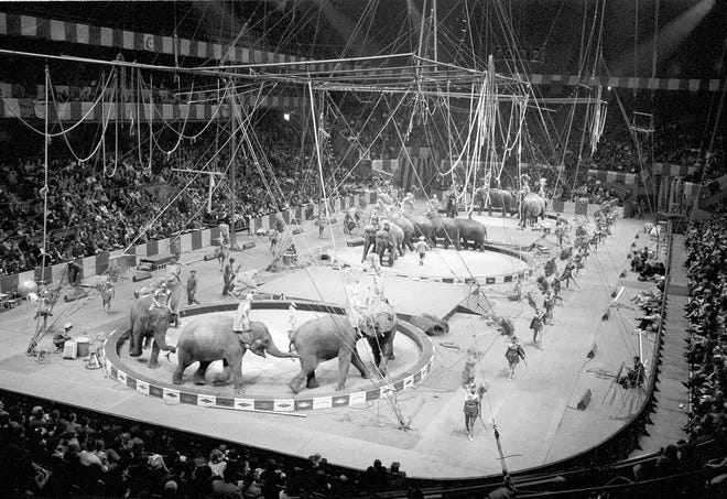A circus arena with elephants and people

AI-generated content may be incorrect.