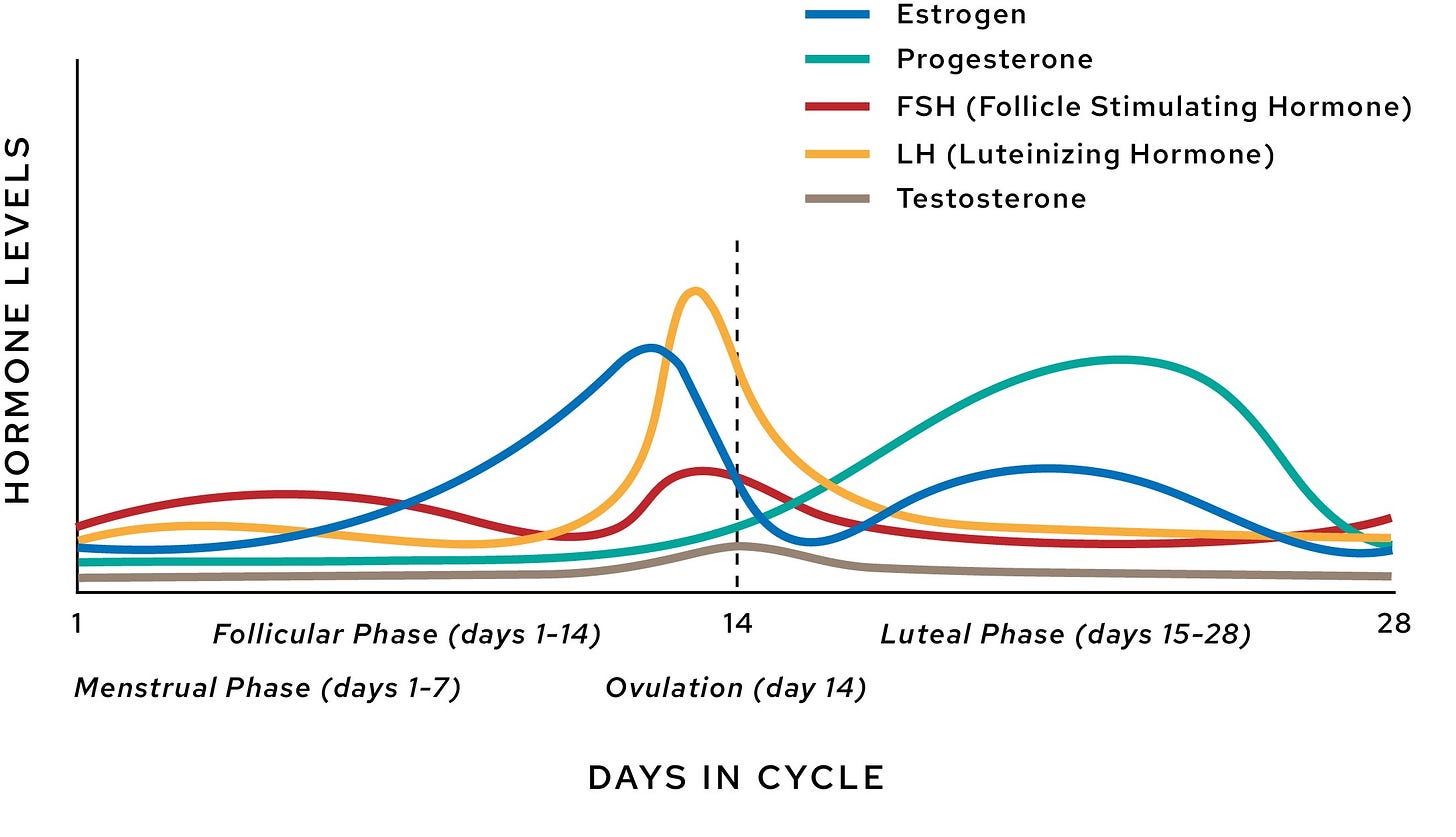 How Does Cycle Syncing Work? | PALM Health St. Louis