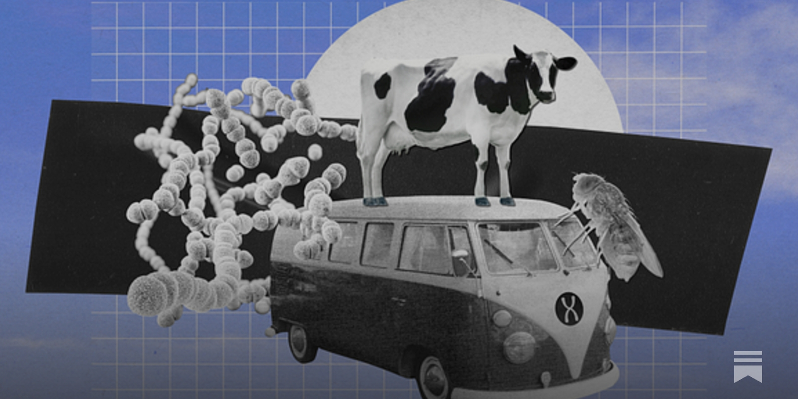 Metaphors for Biology: Sizes