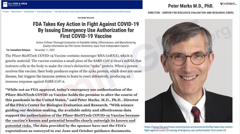 karenkingston.substack.com