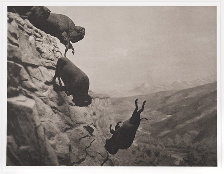 David Wojnarowicz, Untitled (Buffalo) David Wojnarowicz, Untitled (Buffalo)