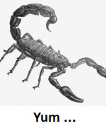 scorpion_wcaption scorpion_wcaption