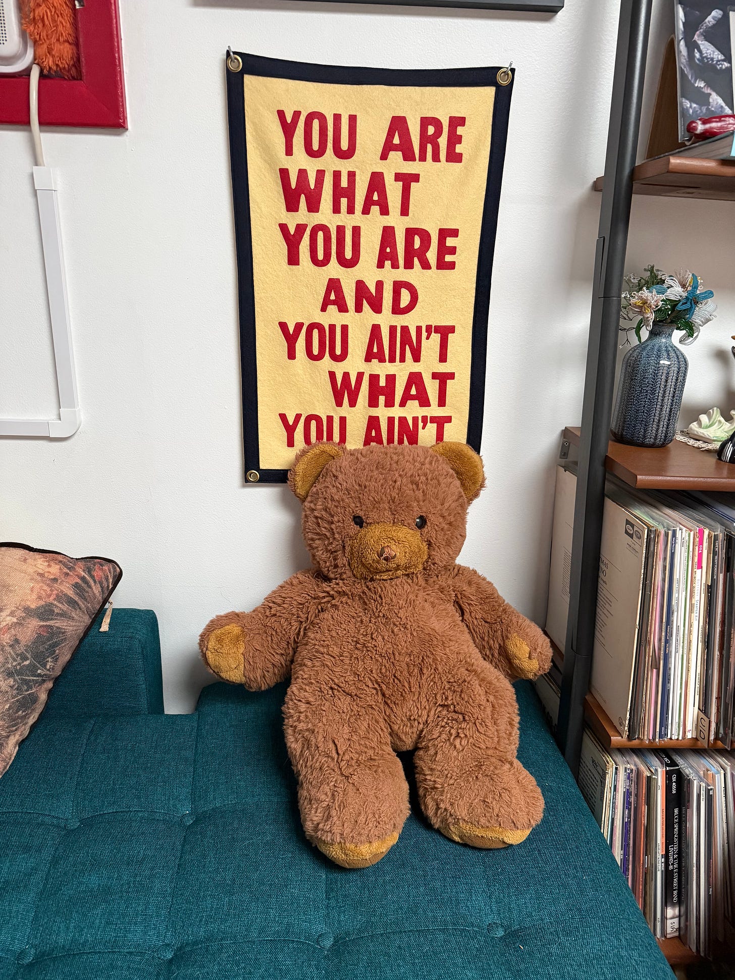 Beary sitting on a bedspread under a funny banner Beary sitting on a bedspread under a funny banner