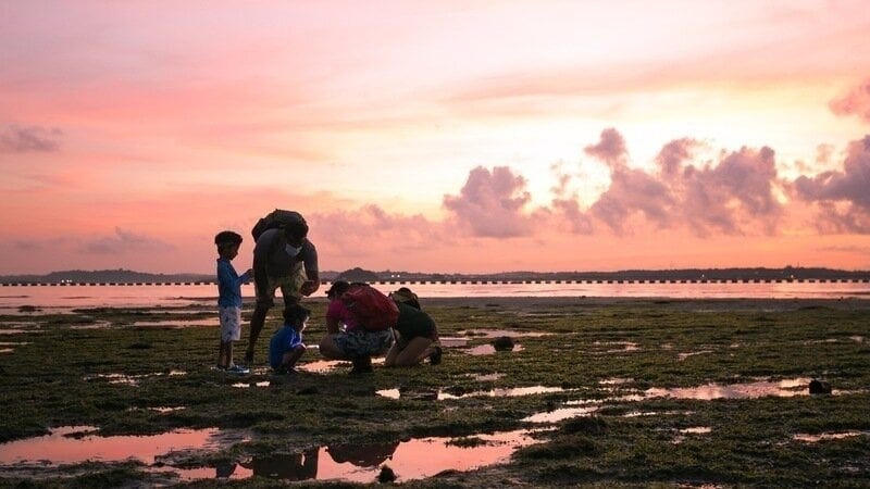 Petition · Conserve the Changi Beach Area and Reconsider Land Reclamation Plans - Singapore · Change.org Petition · Conserve the Changi Beach Area and Reconsider Land Reclamation Plans - Singapore · Change.org