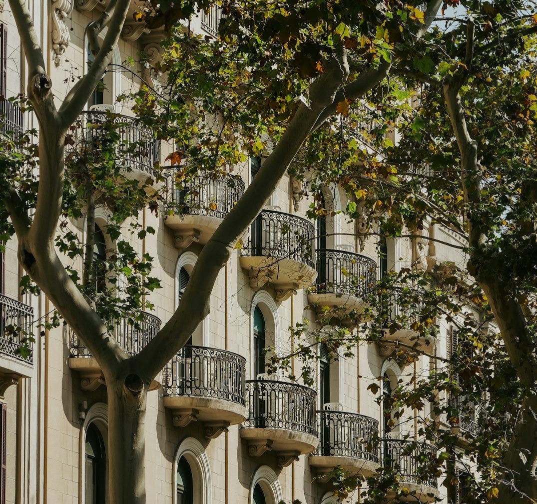 Building facade with ornate balconies and trees
