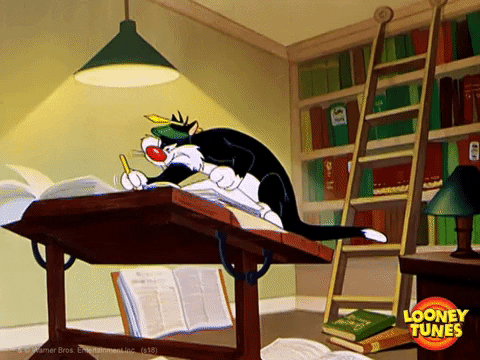 https://media.giphy.com/media/603cLZVdYomSgIBhB0/giphy.gif