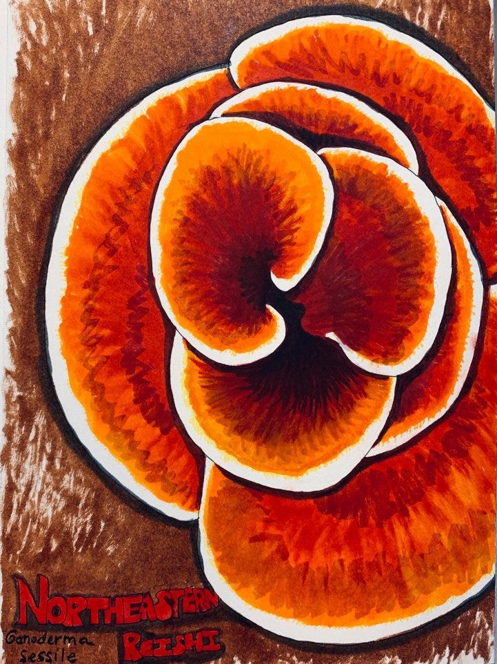 A painting of a flower

AI-generated content may be incorrect.
