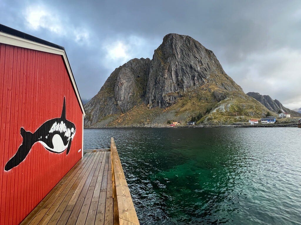 No alt text provided for this image