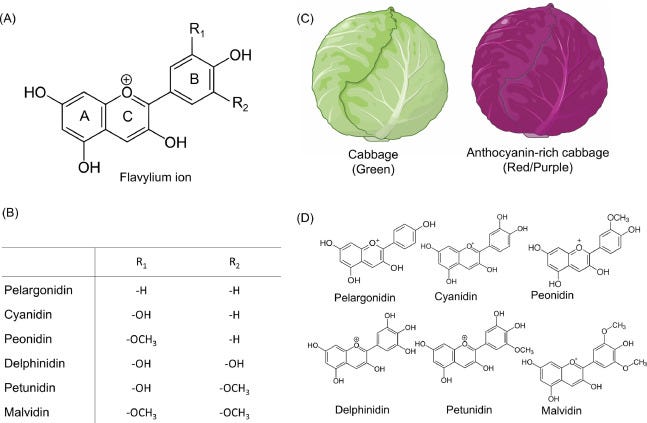 Anthocyanin - an overview | ScienceDirect Topics Anthocyanin - an overview | ScienceDirect Topics