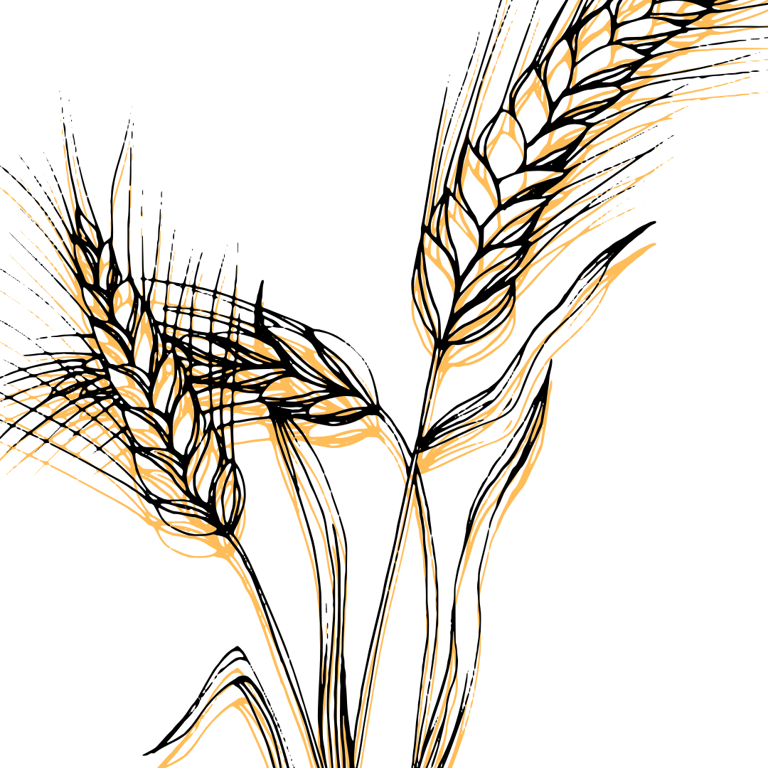 The Chaff 