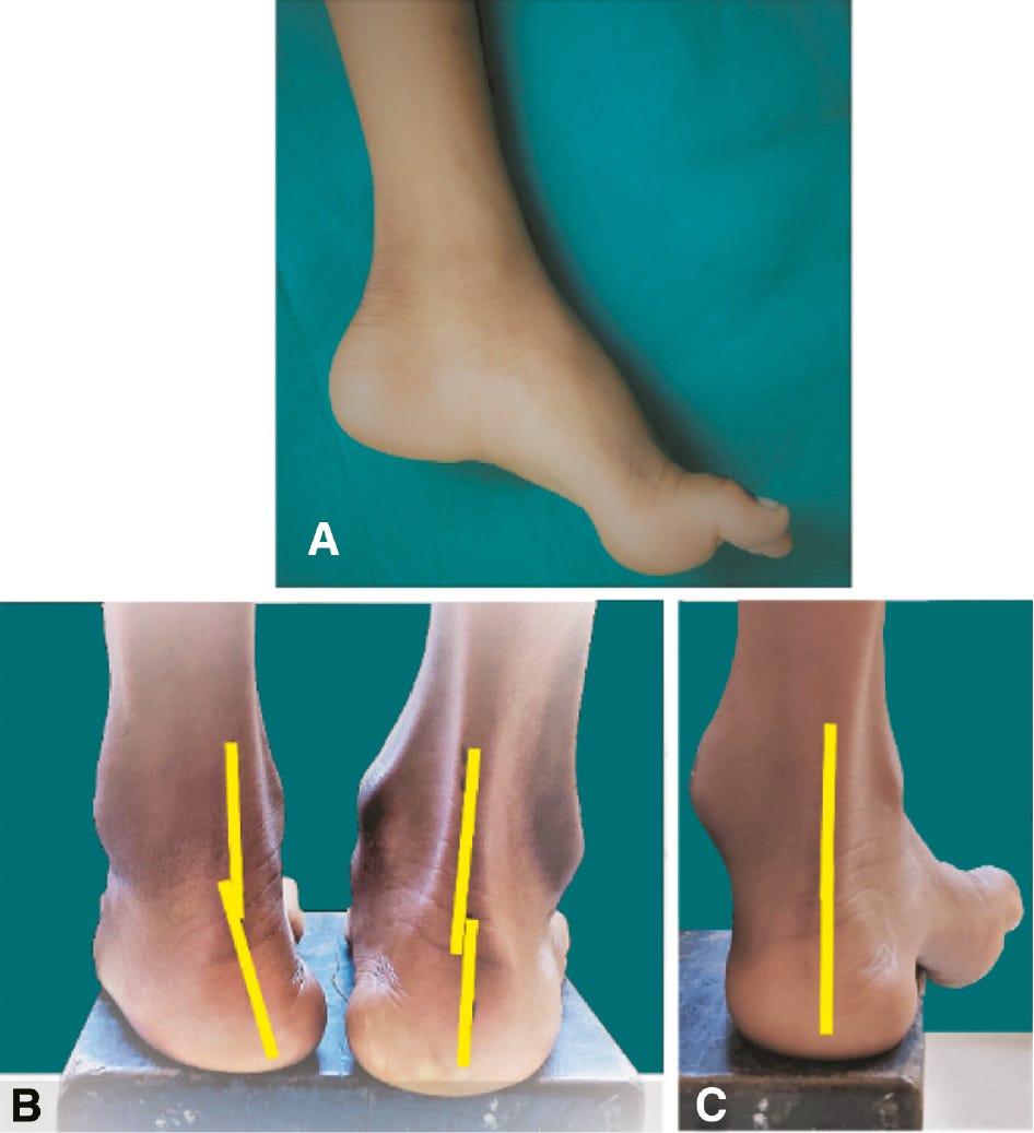 jposna20220038_fig13.jpg
