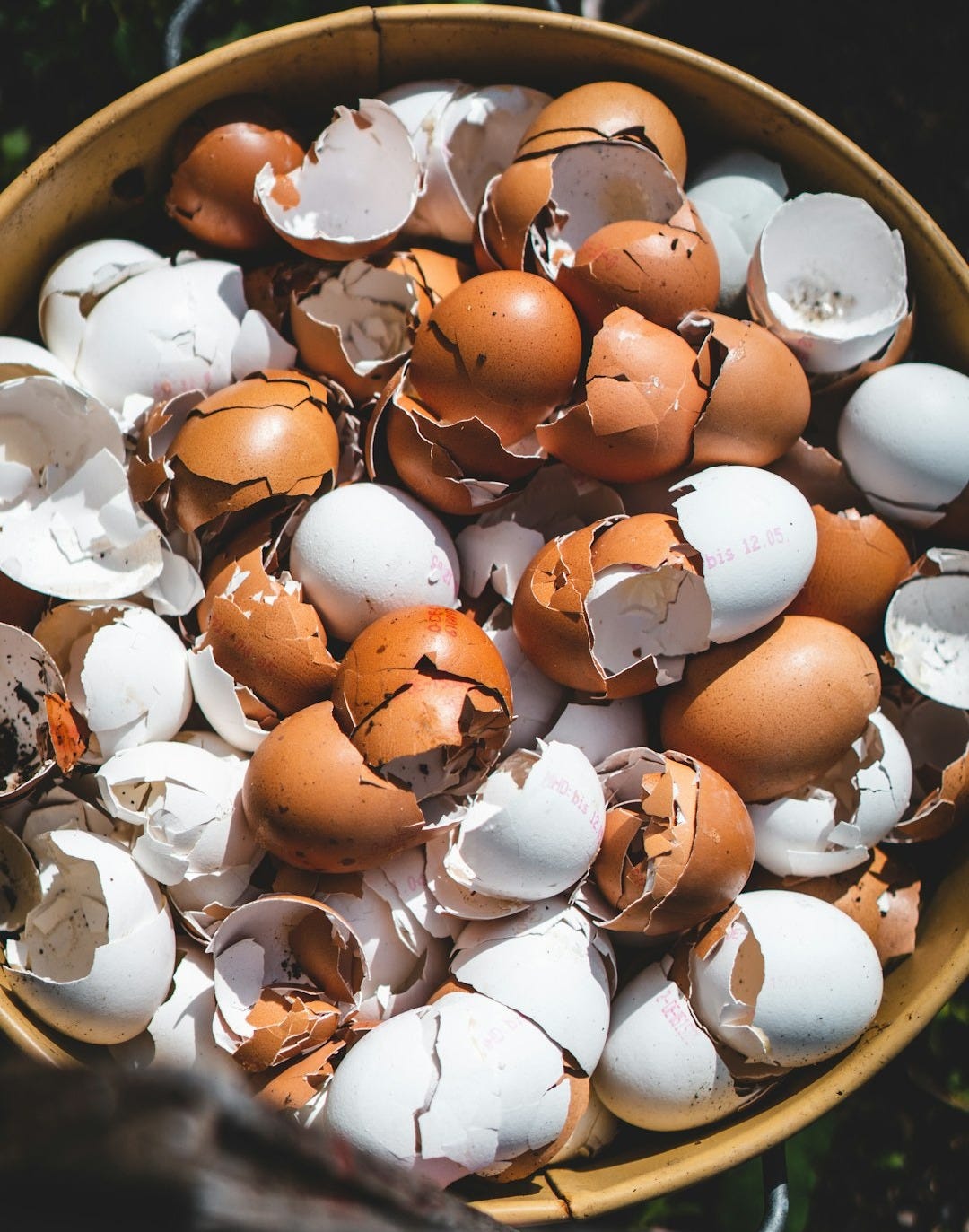 brown and white plastic egg toy brown and white plastic egg toy