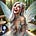 Fayla's Whispers Of The Wild