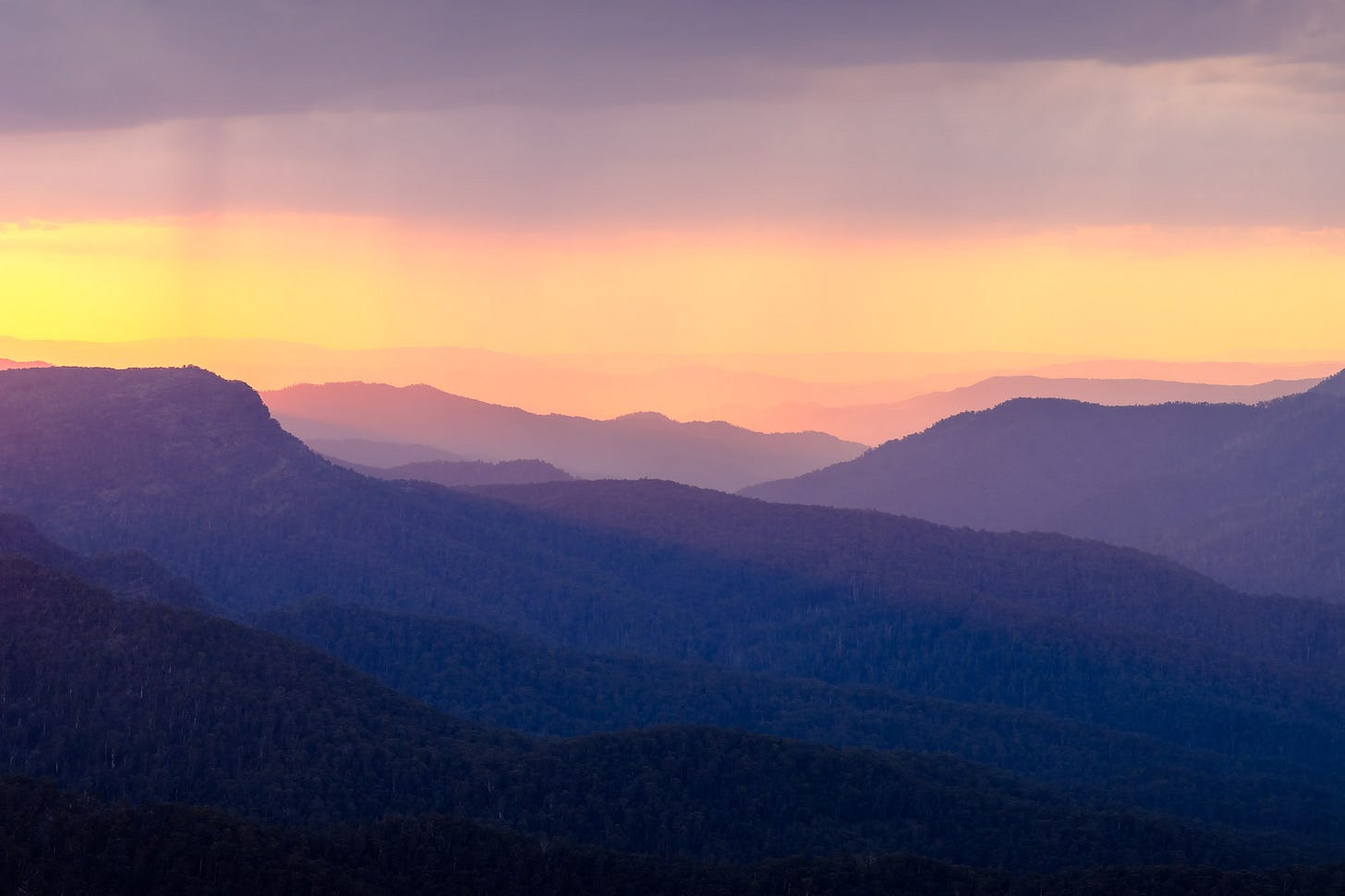 View from Mt Howitt