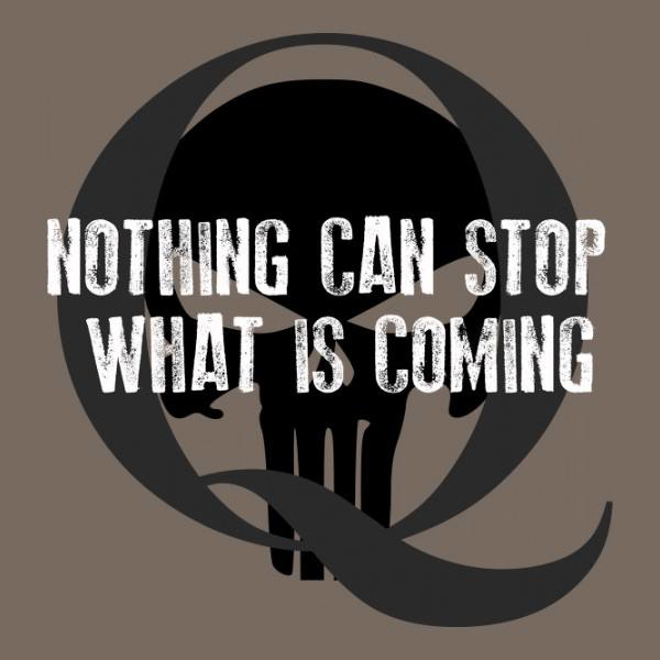 Q and the Millennial Kingdom Series