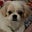 Annabelle's avatar