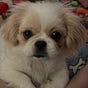 Annabelle's avatar