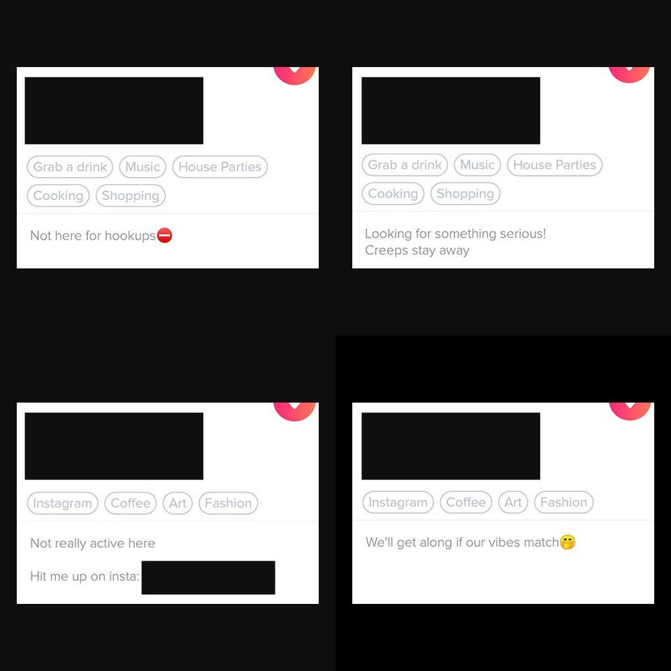 r/TinderIndia - The four horsemen of Indian girl bios on Tinder