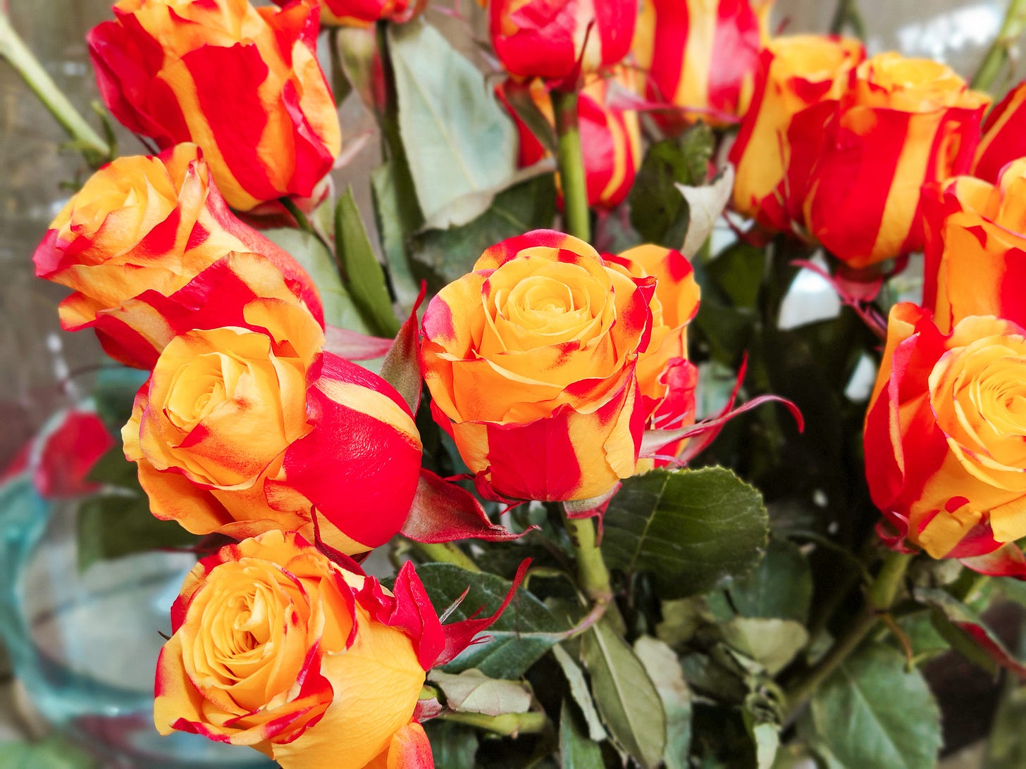 Yellow and red striped roses imitating the flag of Catalonia.