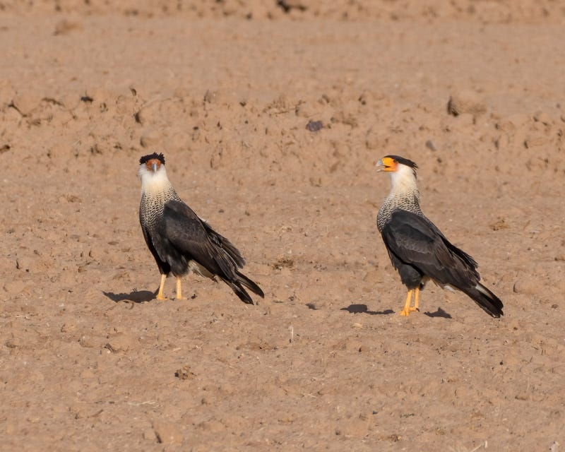 20251204-Manville-27-Edit.jpg 20251204-Manville-27-Edit.jpg