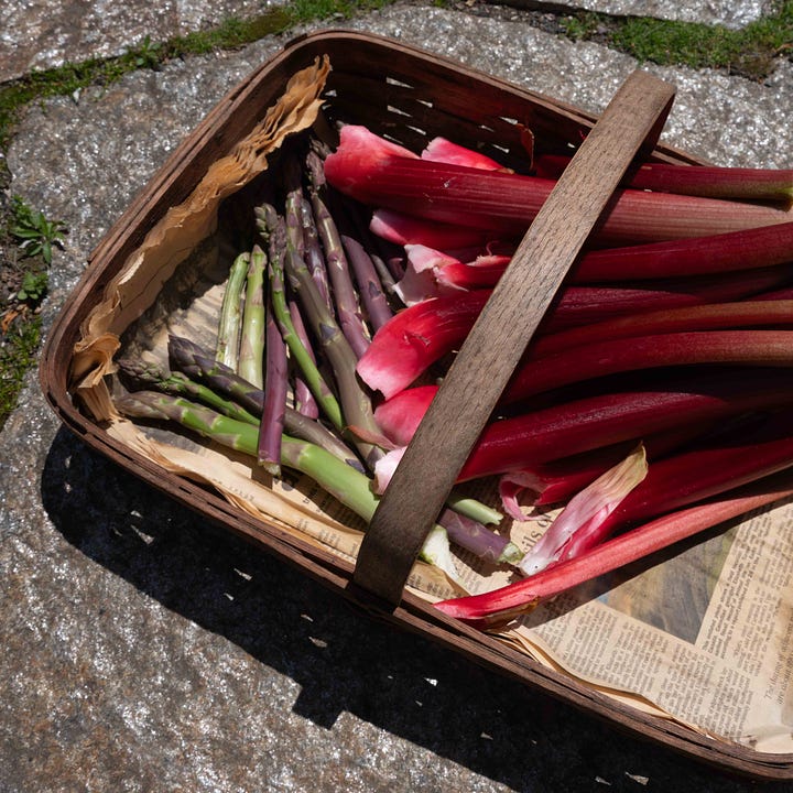 Diptych. On the left is a basket holding stalks of asparagus and the stems of bright purple/red rhubarb; On the right, there's a glass of red wine next to a pile of green and purple asparagus