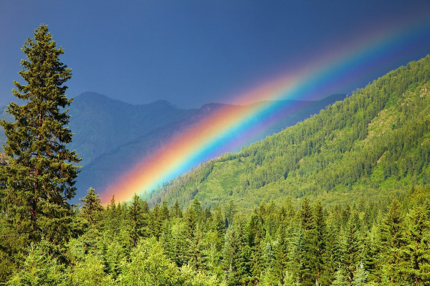 The 7 Colors of the Rainbow and Their Meanings Explained in Detail - Color  Meanings
