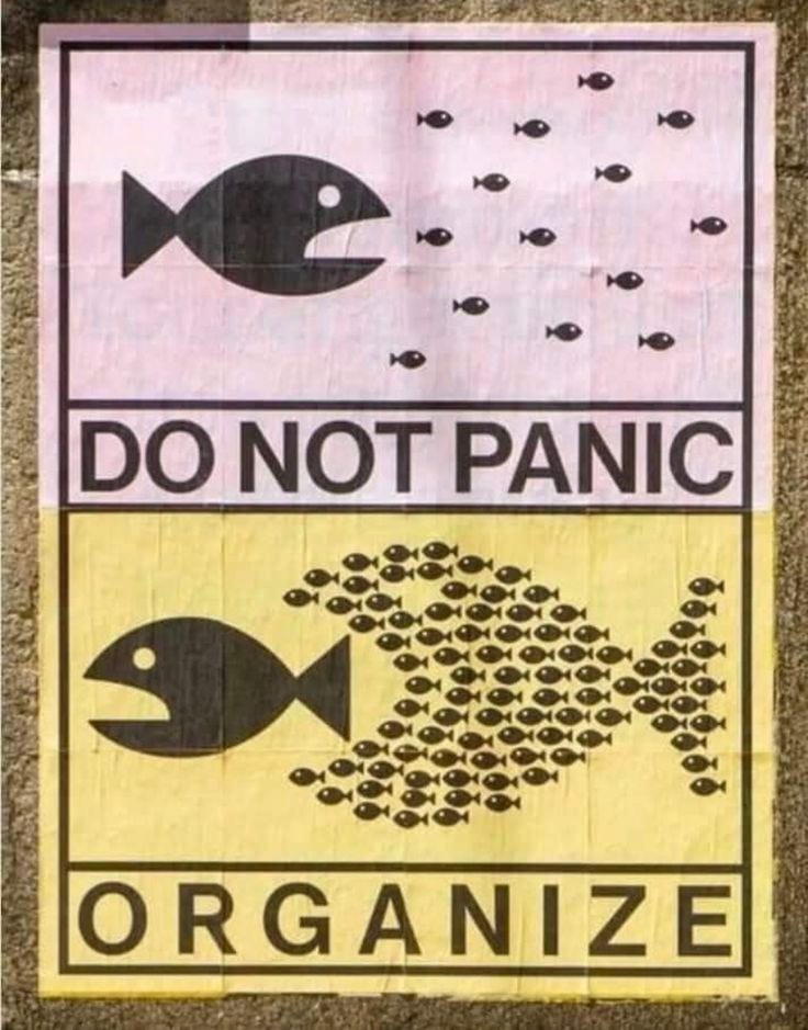 Graphic which says 'Don't panic' with a big fish chasing lots of small fish. The next square says 'Organize' and shows the little fish chasing the big fish. Graphic which says 'Don't panic' with a big fish chasing lots of small fish. The next square says 'Organize' and shows the little fish chasing the big fish.