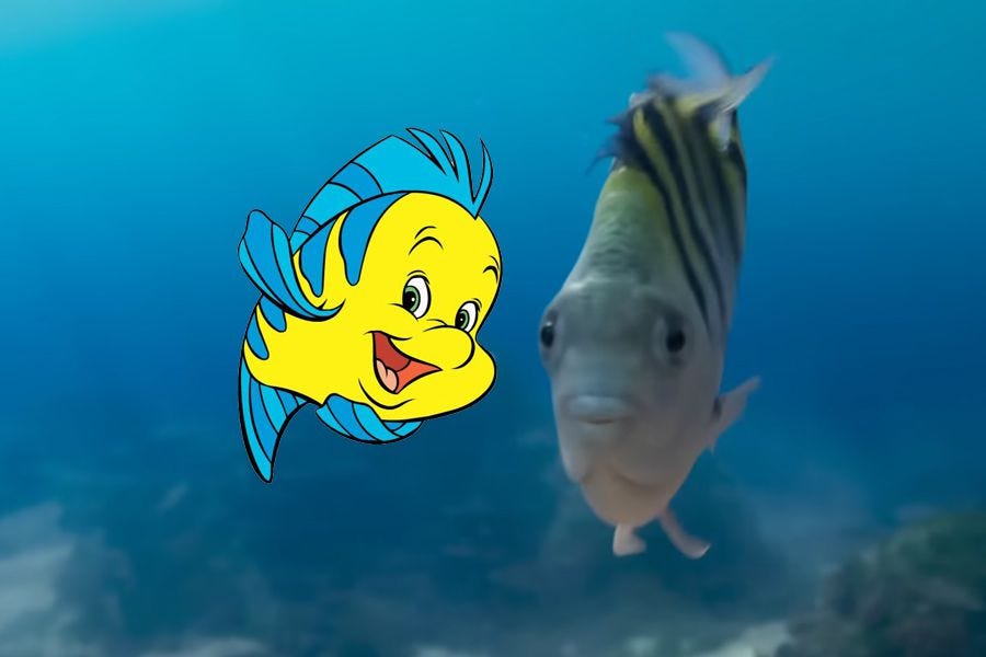 El live-action de La Sirenita revela a la decolorida versión de Flounder -  La Tercera