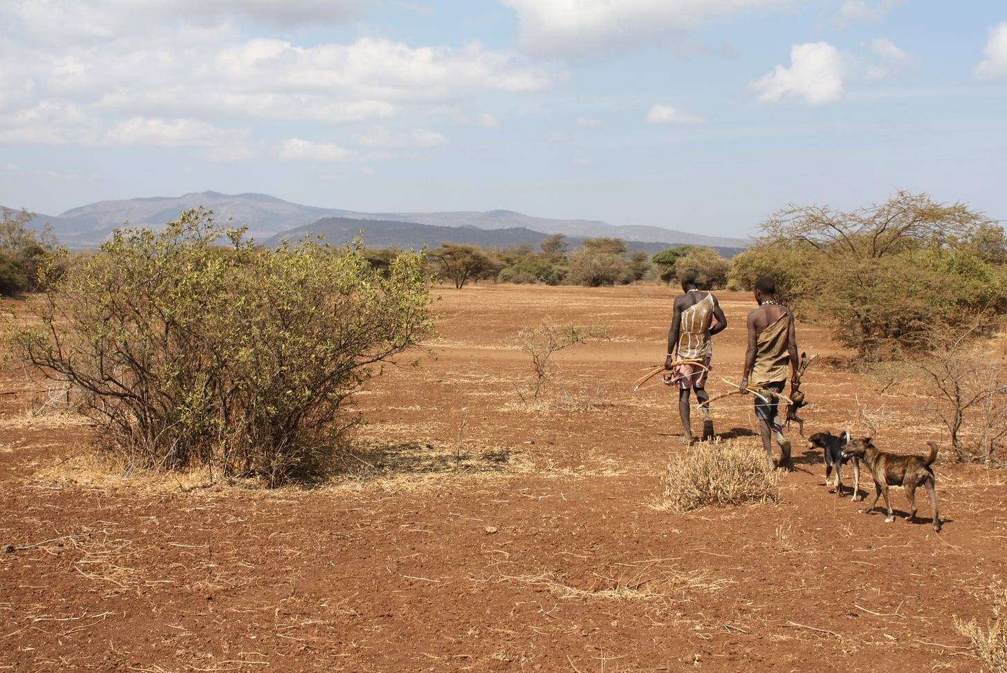 Dogs and the Hands That Feed: The Utility of Dogs in Hunter-Gatherer  Societies | Human Relations Area Files