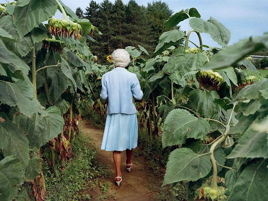 The Photographer in the Garden - by Andy Adams